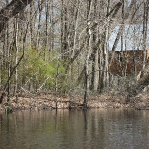 edisto cabin